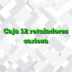 Caja 12 rotuladores carioca