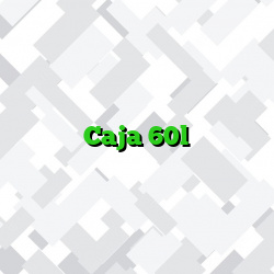 Caja 60l