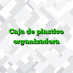 Caja de plastico organizadora