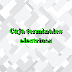Caja terminales electricos