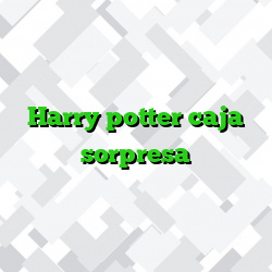 Harry potter caja sorpresa