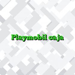 Playmobil caja